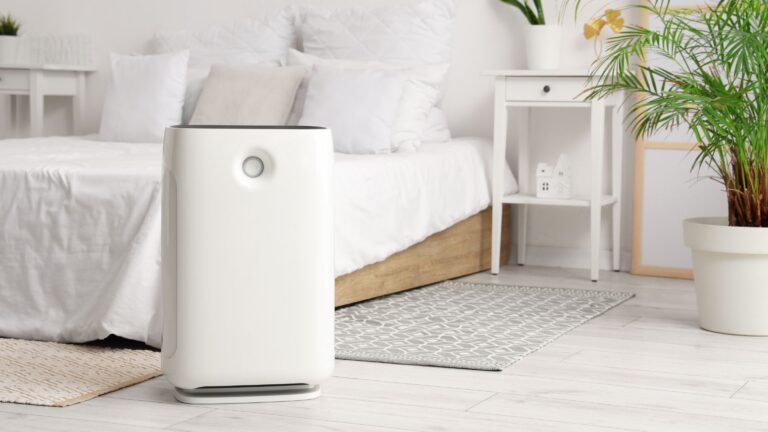 Best Budget Smart Air Purifiers For Home