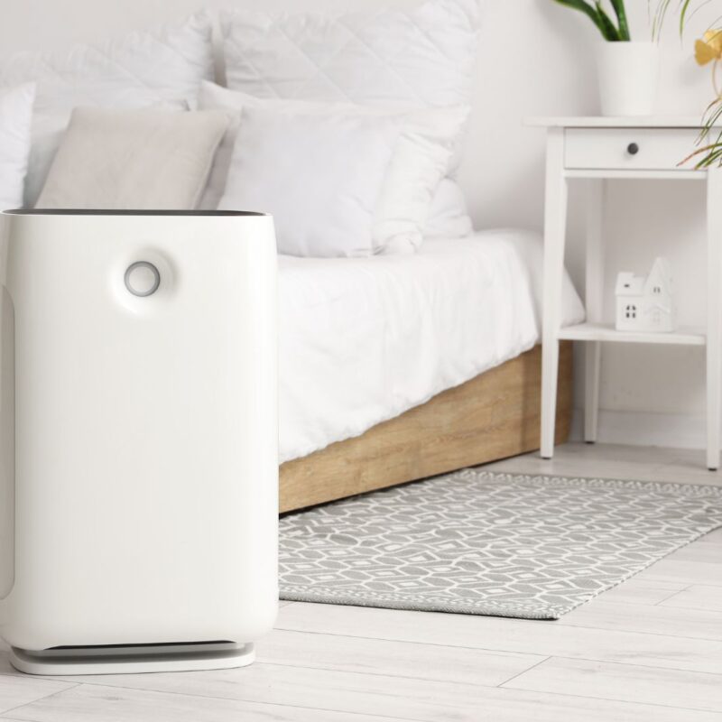 Best Budget Smart Air Purifiers For Home