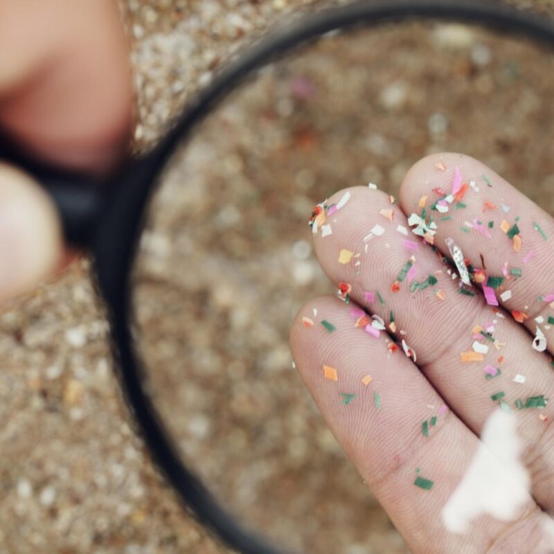 How to Reduce Microplastics in Your Home in 2025